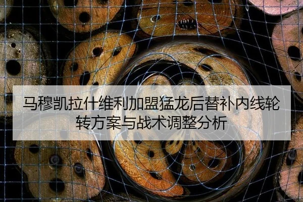 ma-mu-kai-la-shen-wei-li-jia-meng-meng-long-hou-ti-bu-nei-xian-lun-zhuan-fang-an-yu-zhan-shu-tiao-zheng-fen-xi-2-689.jpg
