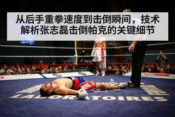从后手重拳速度到击倒瞬间,技术解析张志磊击倒帕克的关键细节