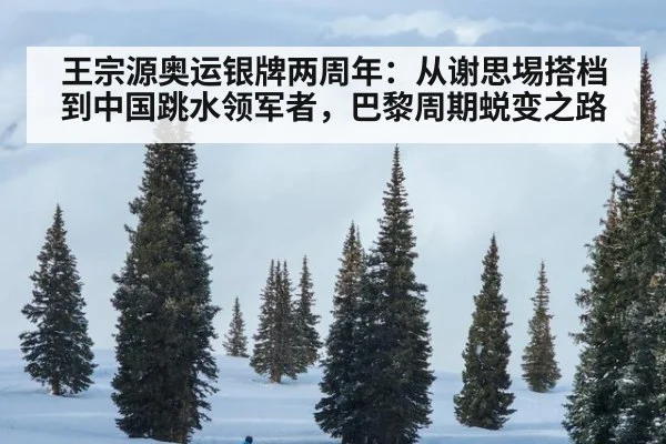 王宗源奥运银牌两周年：从谢思埸搭档到中国跳水领军者，巴黎周期蜕变之路